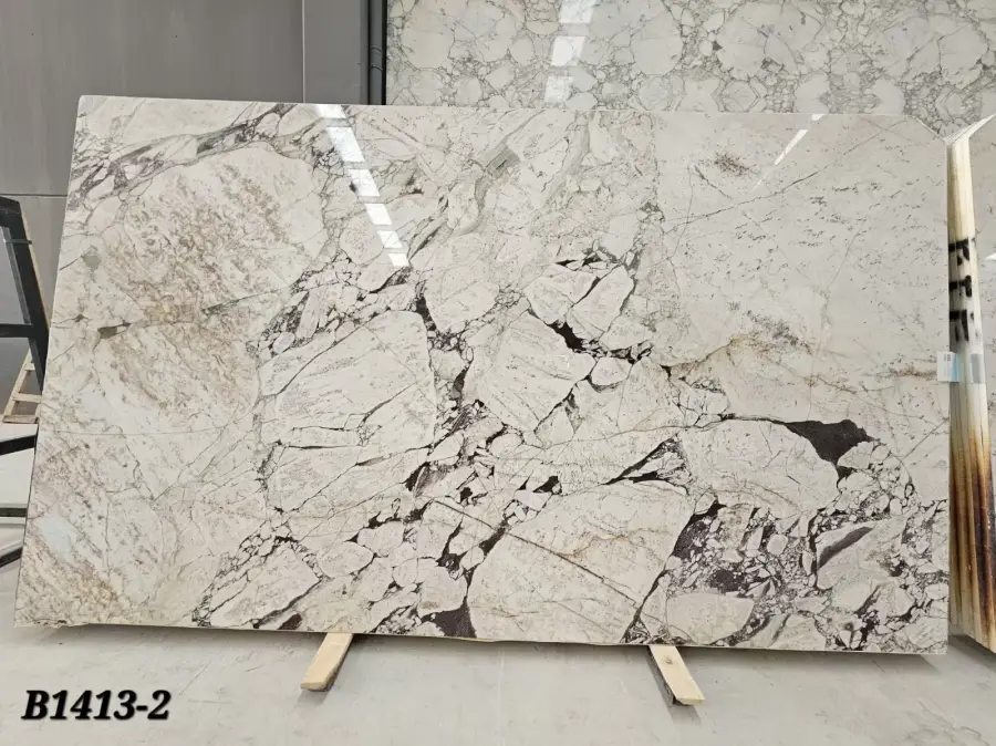 B1413- Calacatta Viola