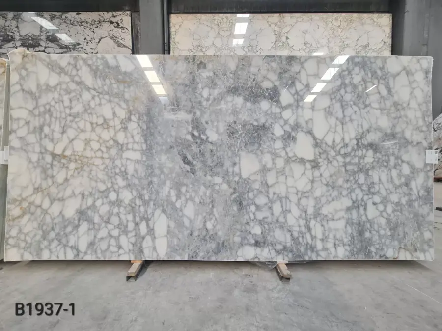 BIANCO VENATO