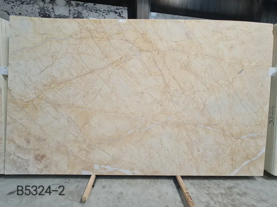 Golden Spider Dolomite