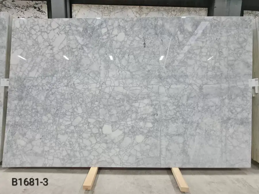 B1681- BIANCO VENATO