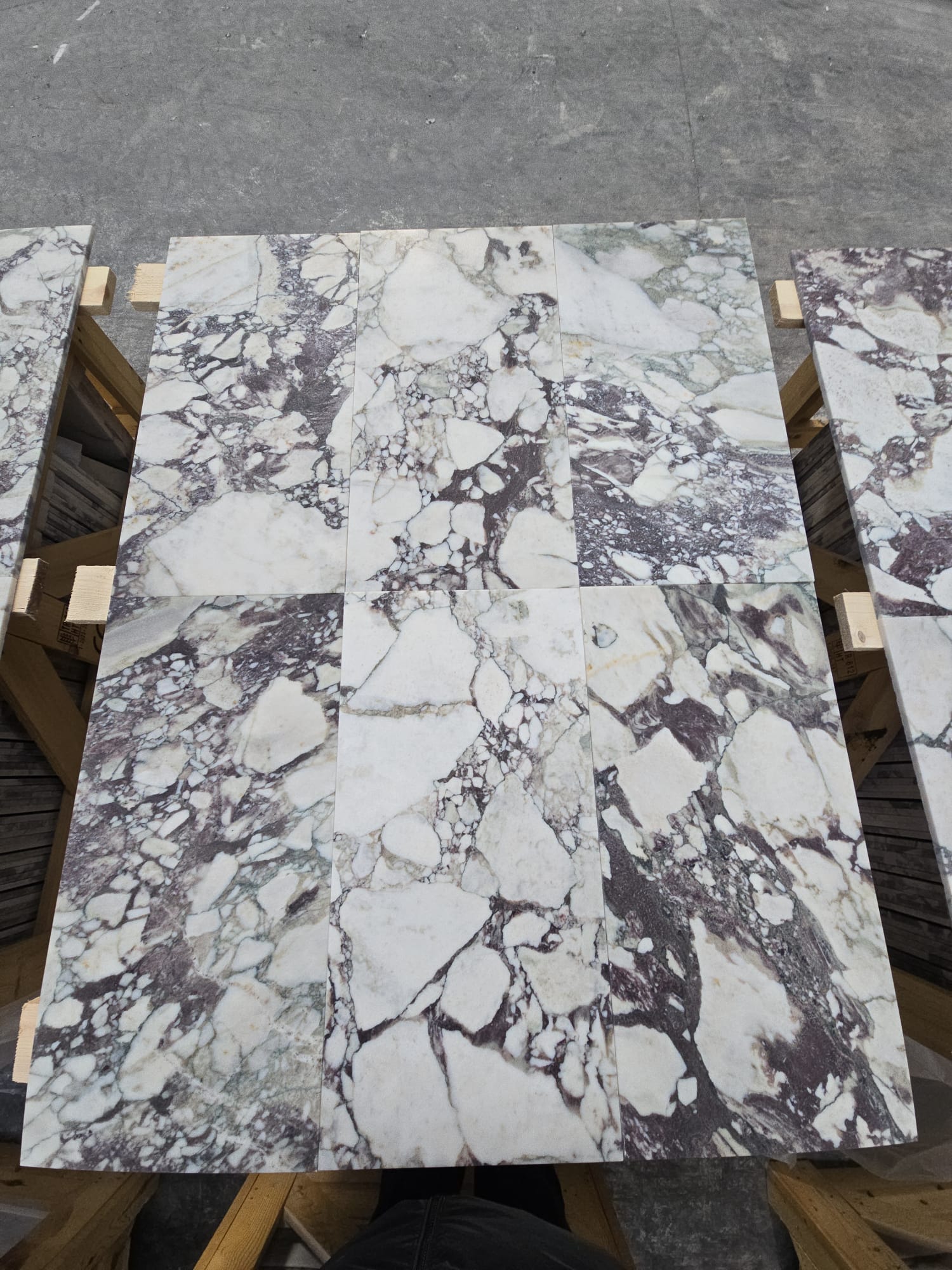 Calacatta Viola Tiles natural stone tile — detail photo 3